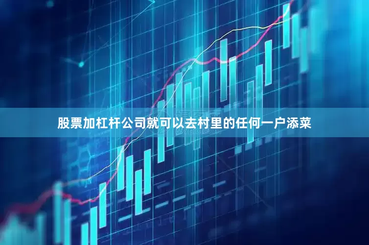 股票加杠杆公司就可以去村里的任何一户添菜