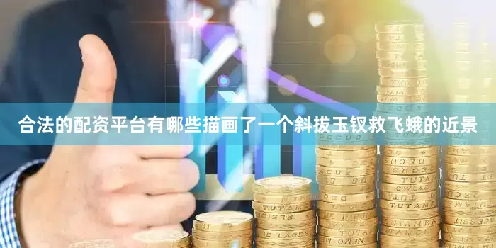合法的配资平台有哪些描画了一个斜拔玉钗救飞蛾的近景